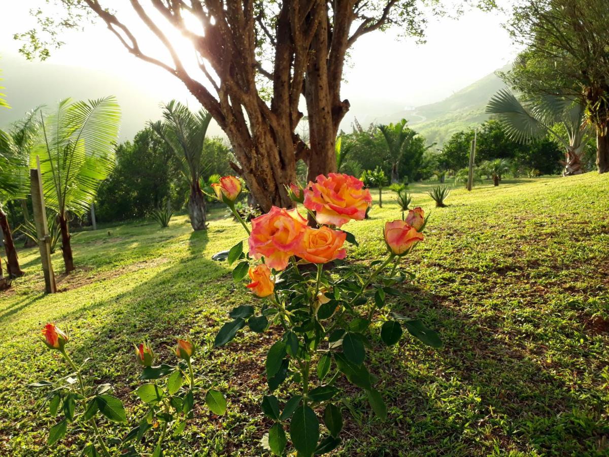 Casa/Sitio Na Serra Em Bom Jardim - Rj ภายนอก รูปภาพ