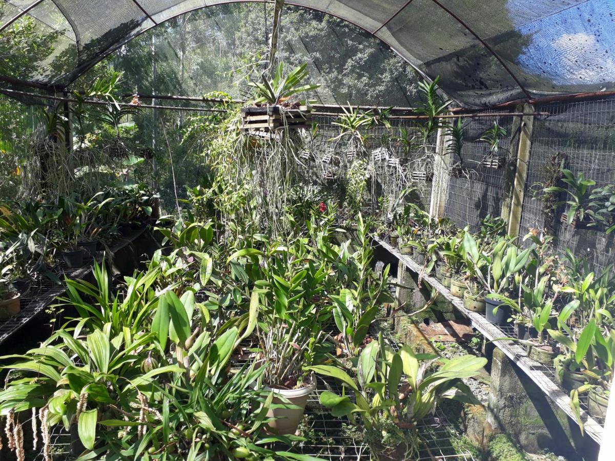 Casa/Sitio Na Serra Em Bom Jardim - Rj ภายนอก รูปภาพ