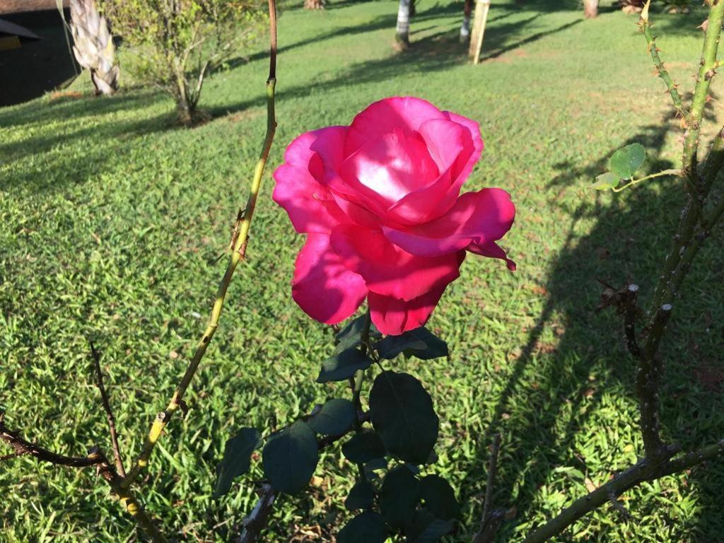 Casa/Sitio Na Serra Em Bom Jardim - Rj ภายนอก รูปภาพ