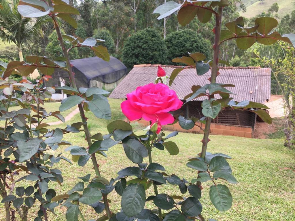 Casa/Sitio Na Serra Em Bom Jardim - Rj ภายนอก รูปภาพ
