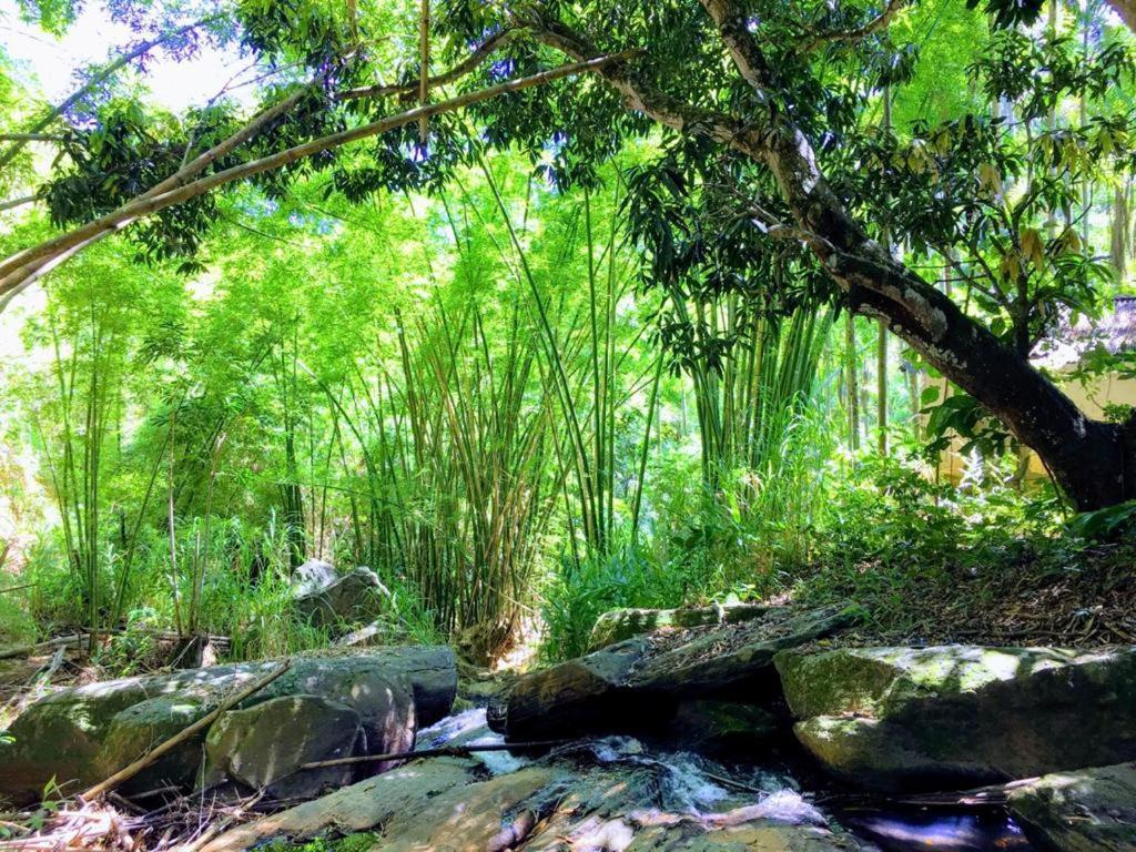 Casa/Sitio Na Serra Em Bom Jardim - Rj ภายนอก รูปภาพ