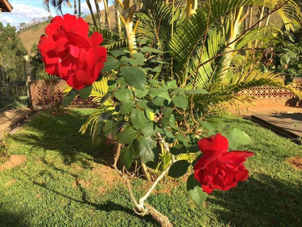 Casa/Sitio Na Serra Em Bom Jardim - Rj ภายนอก รูปภาพ