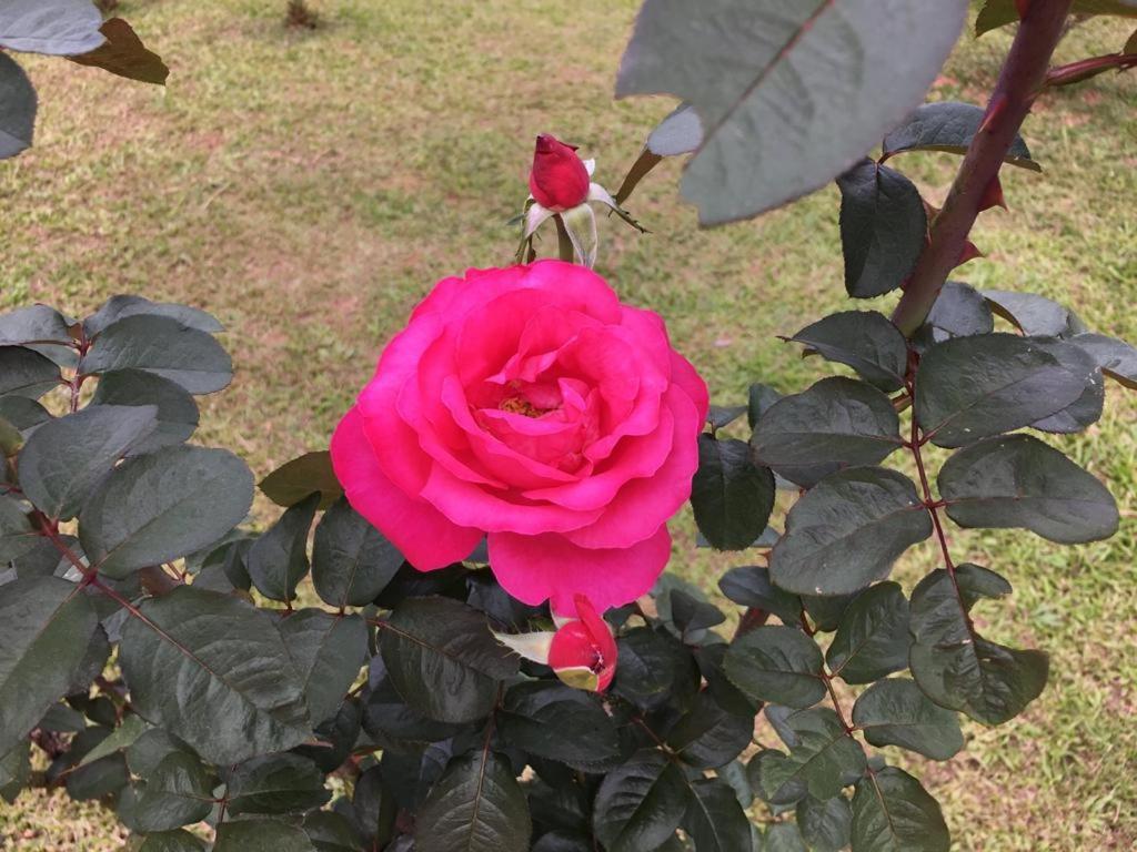 Casa/Sitio Na Serra Em Bom Jardim - Rj ภายนอก รูปภาพ