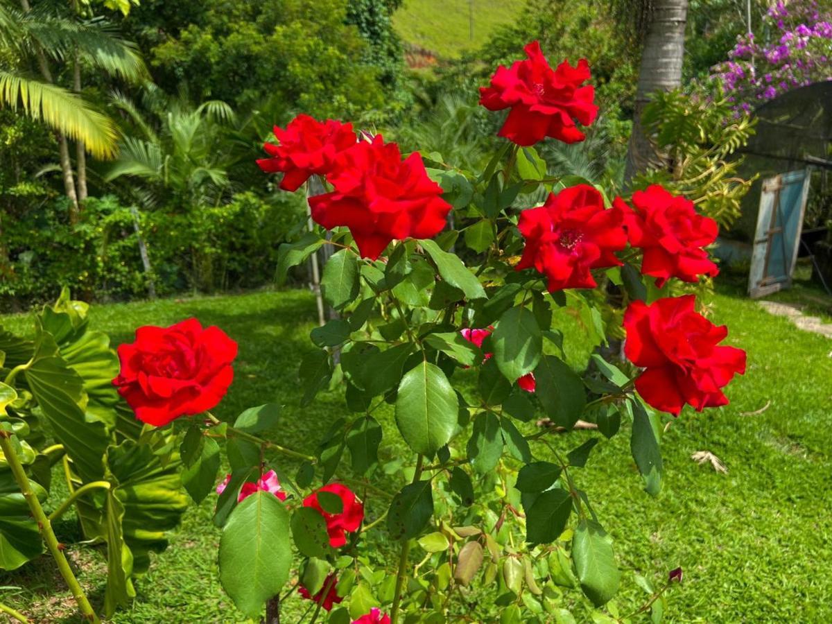 Casa/Sitio Na Serra Em Bom Jardim - Rj ภายนอก รูปภาพ