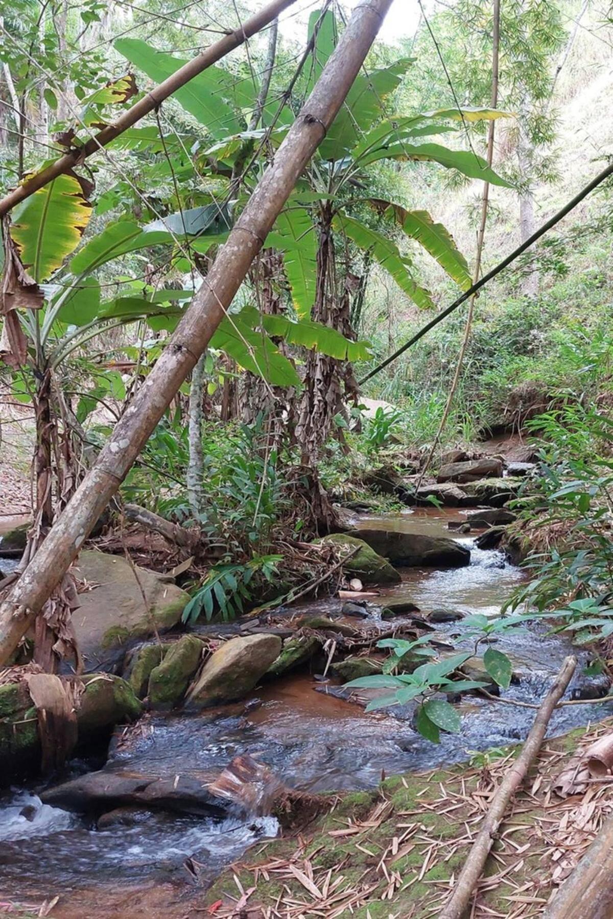 Casa/Sitio Na Serra Em Bom Jardim - Rj ภายนอก รูปภาพ